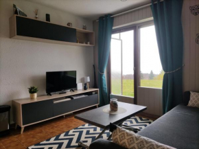 Le Panoramic Thollon